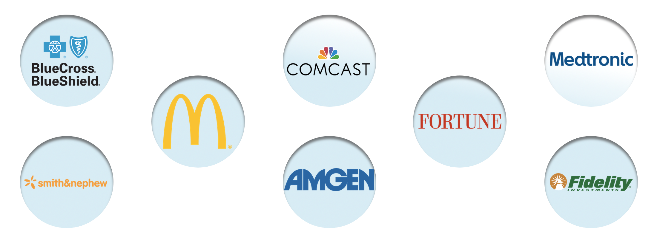 Vistacom's customer base includes: Blue Cross Blue Shield, Smith & Nephew, McDonald's, Comcast, Amgen, Fortune, Medtronic, FIdelity, and more