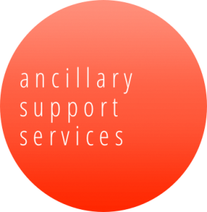 Conduct live audience polling the right way with ancillary support services